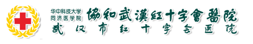 武漢市第十一醫院